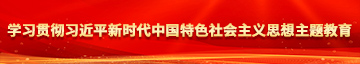 黄色操逼逼学习贯彻习近平新时代中国特色社会主义思想主题教育